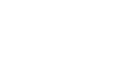 A-MOTION logo